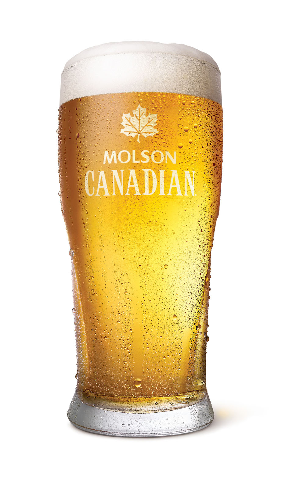 Molson Canadian Pint
